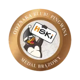 Odznaka poziom 6 — brąz